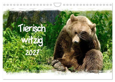 Tierisch witzig (Wandkalender 2027 DIN A4 quer), CALVENDO Monatskalender