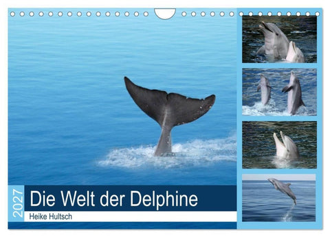 Die Welt der Delphine (Wandkalender 2027 DIN A4 quer), CALVENDO Monatskalender