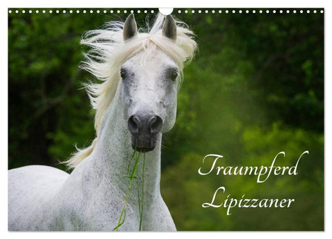 Traumpferd Lipizzaner (Wandkalender 2027 DIN A3 quer), CALVENDO Monatskalender