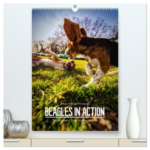 Beagles in action (High Quality Premium Wall Calendar 2027 DIN A2 portrait),CALVENDO 12 Month Wall Calendar