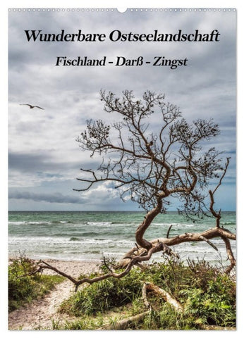 Wunderbare Ostseelandschaft Fischland-Darß-Zingst (Wandkalender 2027 DIN A2 hoch), CALVENDO Monatskalender