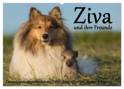 Ziva und ihre Freunde (Wandkalender 2027 DIN A2 quer), CALVENDO Monatskalender