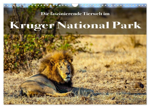 Faszinierende Tierwelt des Kruger National Parks (Wandkalender 2027 DIN A3 quer), CALVENDO Monatskalender