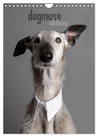 dogmuse deluxe (Wandkalender 2027 DIN A4 hoch), CALVENDO Monatskalender