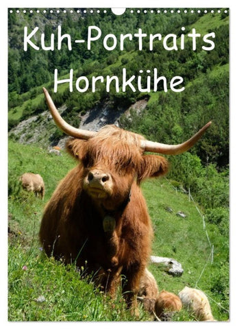 Kuhportraits Hornkühe (Wandkalender 2027 DIN A3 hoch), CALVENDO Monatskalender