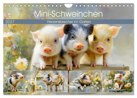 Mini-Schweinchen. Herzensbrecher im Garten (Wandkalender 2027 DIN A4 quer), CALVENDO Monatskalender