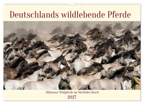 Deutschlands wildlebende Pferde (Wandkalender 2027 DIN A2 quer), CALVENDO Monatskalender