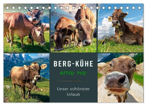 Berg-Kühe, Natur pur - unser schönster Urlaub (Tischkalender 2027 DIN A5 quer), CALVENDO Monatskalender