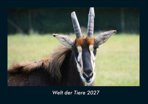Welt der Tiere 2027 Fotokalender DIN A4