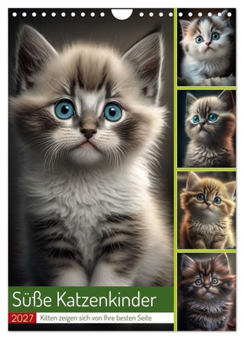 Süße Katzenkinder (Wandkalender 2027 DIN A4 hoch), CALVENDO Monatskalender