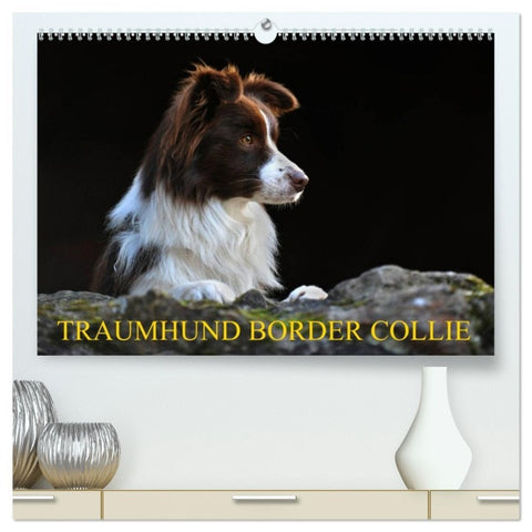 Traumhund Border Collie (hochwertiger Premium Wandkalender 2026 DIN A2 quer), Kunstdruck in Hochglanz