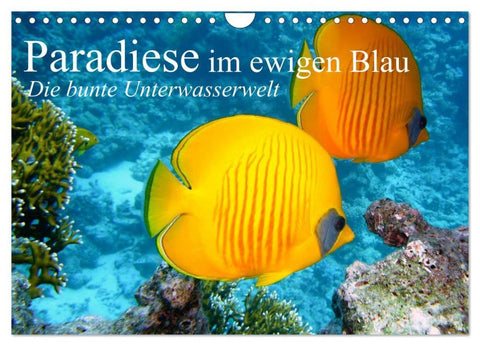Paradiese im ewigen Blau. Die bunte Unterwasserwelt (Wandkalender 2026 DIN A4 quer), CALVENDO Monatskalender