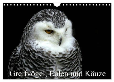 Greifvögel, Eulen und Käuze (Wandkalender 2027 DIN A4 quer), CALVENDO Monatskalender