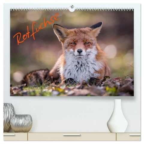 Rotfüchse (hochwertiger Premium Wandkalender 2027 DIN A2 quer), Kunstdruck in Hochglanz