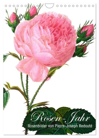 Rosen-Jahr (Wandkalender 2027 DIN A4 hoch), CALVENDO Monatskalender