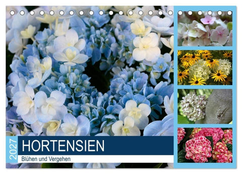 Hortensien Blühen und Vergehen (Tischkalender 2027 DIN A5 quer), CALVENDO Monatskalender