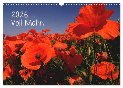 Voll Mohn (Wandkalender 2026 DIN A3 quer), CALVENDO Monatskalender