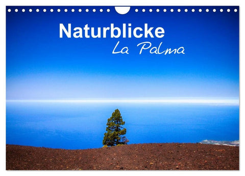 Naturblicke - La Palma (Wandkalender 2026 DIN A4 quer), CALVENDO Monatskalender
