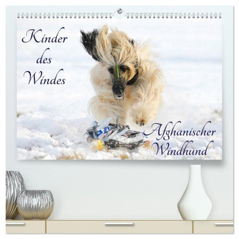 Kinder des Windes - Afghanischer Windhund (hochwertiger Premium Wandkalender 2027 DIN A2 quer), Kunstdruck in Hochglanz