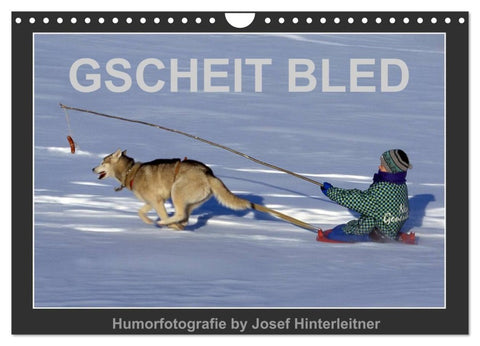 GSCHEIT BLED - Humorfotografie (Wandkalender 2027 DIN A4 quer), CALVENDO Monatskalender