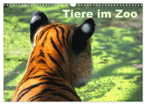 Tiere im Zoo (Wandkalender 2026 DIN A3 quer), CALVENDO Monatskalender