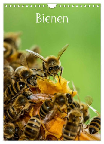 Bienen (Wandkalender 2027 DIN A4 hoch), CALVENDO Monatskalender
