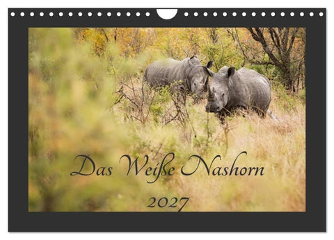 Das Weiße Nashorn (Wandkalender 2027 DIN A4 quer), CALVENDO Monatskalender
