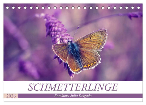 Schmetterlinge im Fokus (Tischkalender 2026 DIN A5 quer), CALVENDO Monatskalender