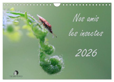 Nos amis les insectes (Calendrier mural 2027 DIN A4 vertical), CALVENDO calendrier mensuel