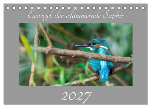 Eisvogel, der schimmernde Saphir (Tischkalender 2027 DIN A5 quer), CALVENDO Monatskalender