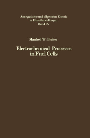 Electrochemical Processes in Fuel Cells