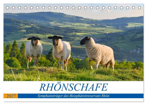 Rhönschafe - Symphatieträger des Biosphärenreservats Rhön (Tischkalender 2027 DIN A5 quer), CALVENDO Monatskalender