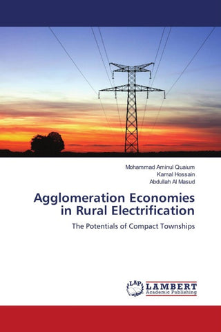Agglomeration Economies in Rural Electrification