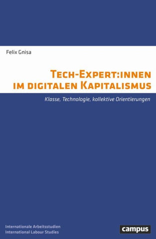 Tech-Expert:innen im digitalen Kapitalismus
