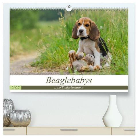 Beaglebabys auf Entdeckungstour (hochwertiger Premium Wandkalender 2027 DIN A2 quer), Kunstdruck in Hochglanz