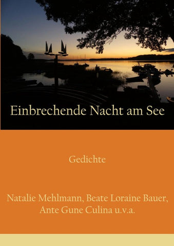 Einbrechende Nacht am See