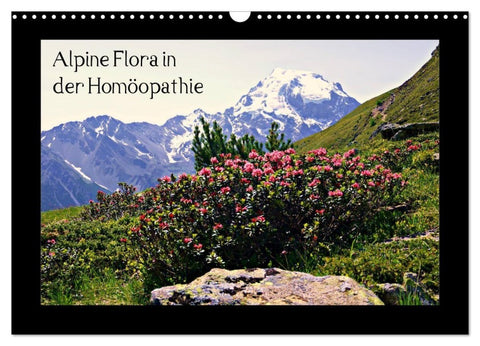 Alpine Flora in der Homöopathie (Wandkalender 2027 DIN A3 quer), CALVENDO Monatskalender