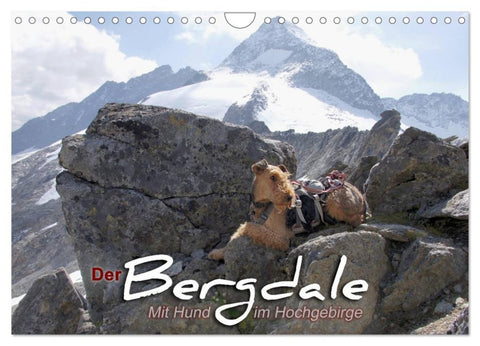 Der Bergdale - mit Hund im Hochgebirge (Wandkalender 2026 DIN A4 quer), CALVENDO Monatskalender
