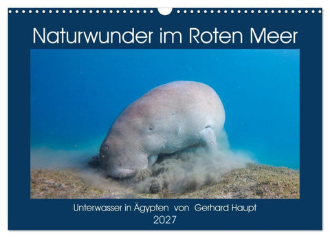 Naturwunder im Roten Meer (Wandkalender 2027 DIN A3 quer), CALVENDO Monatskalender