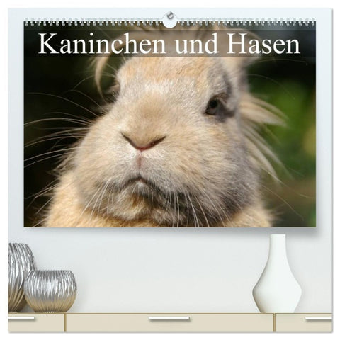 Kaninchen und Hasen (hochwertiger Premium Wandkalender 2026 DIN A2 quer), Kunstdruck in Hochglanz