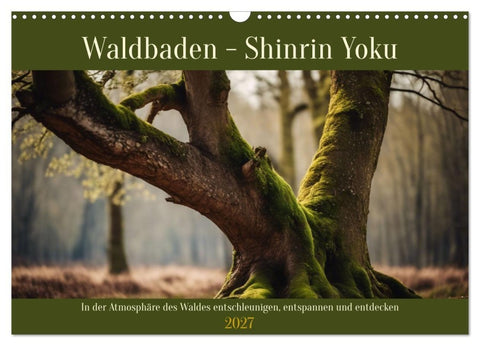 Waldbaden - Shinrin Yoku (Wandkalender 2027 DIN A3 quer), CALVENDO Monatskalender