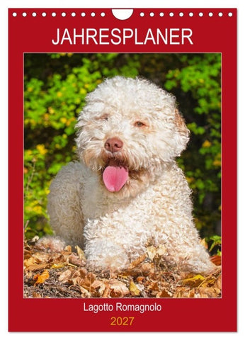 Jahresplaner Lagotto Romagnolo (Wandkalender 2027 DIN A4 hoch), CALVENDO Monatskalender