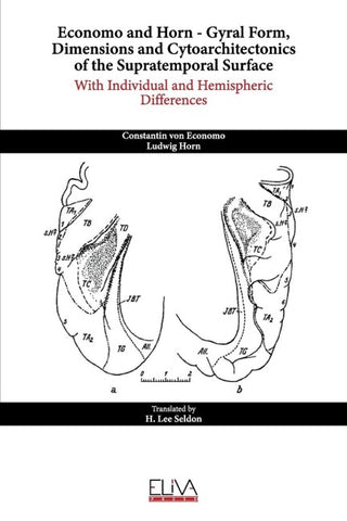 Economo and Horn - Gyral Form, Dimensions and Cytoarchitectonics of the Supratemporal Surface