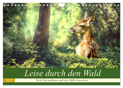 Leise durch den Wald. Sich Zeit nehmen und der Stille lauschen (Wandkalender 2027 DIN A4 quer), CALVENDO Monatskalender