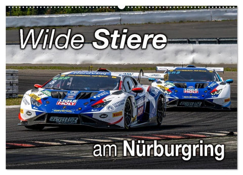 Wilde Stiere am Nürburgring (Wandkalender 2026 DIN A2 quer), CALVENDO Monatskalender