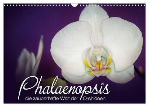 Phalaenopsis - die zauberhafte Welt der Orchideen (Wandkalender 2027 DIN A3 quer), CALVENDO Monatskalender