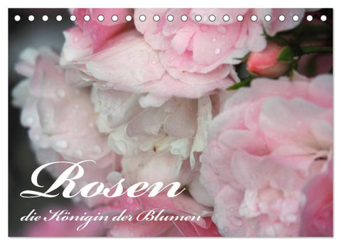Rosen, die Königin der Blumen (Tischkalender 2027 DIN A5 quer), CALVENDO Monatskalender