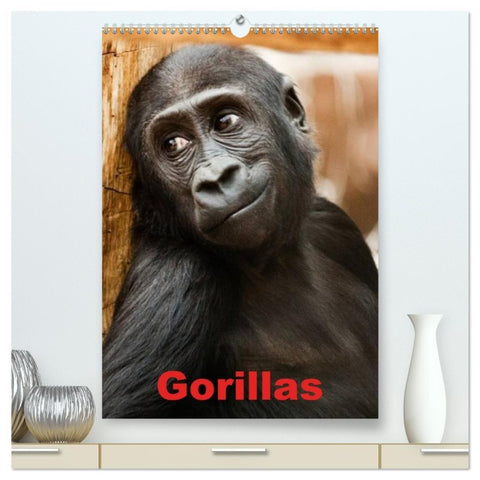 Gorillas (hochwertiger Premium Wandkalender 2026 DIN A2 hoch), Kunstdruck in Hochglanz