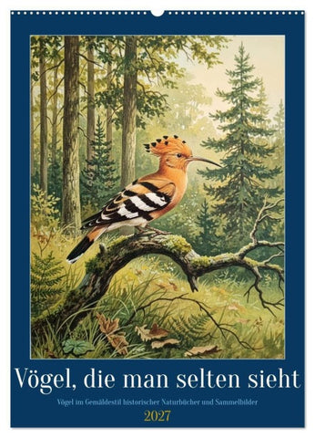 Vögel, die man selten sieht (Wandkalender 2027 DIN A2 hoch), CALVENDO Monatskalender