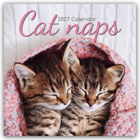 Cat Naps – Träumende Katzen 2027 – 16-Monatskalender